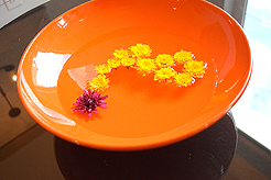 GEORGETOWN TOWNHOMES